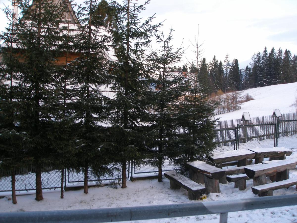 Pokoje Goscinne Irena Bukowina Tatrzanska Exterior photo